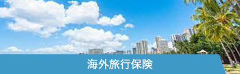 海外旅行保険